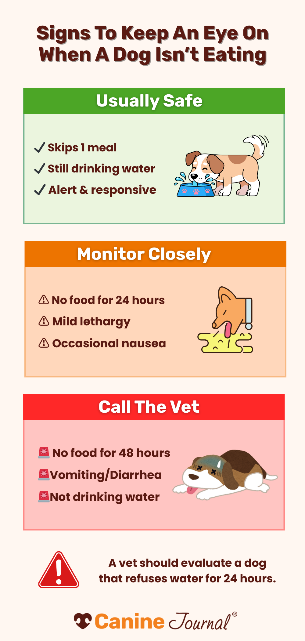 Infographic Dog Not Eating
