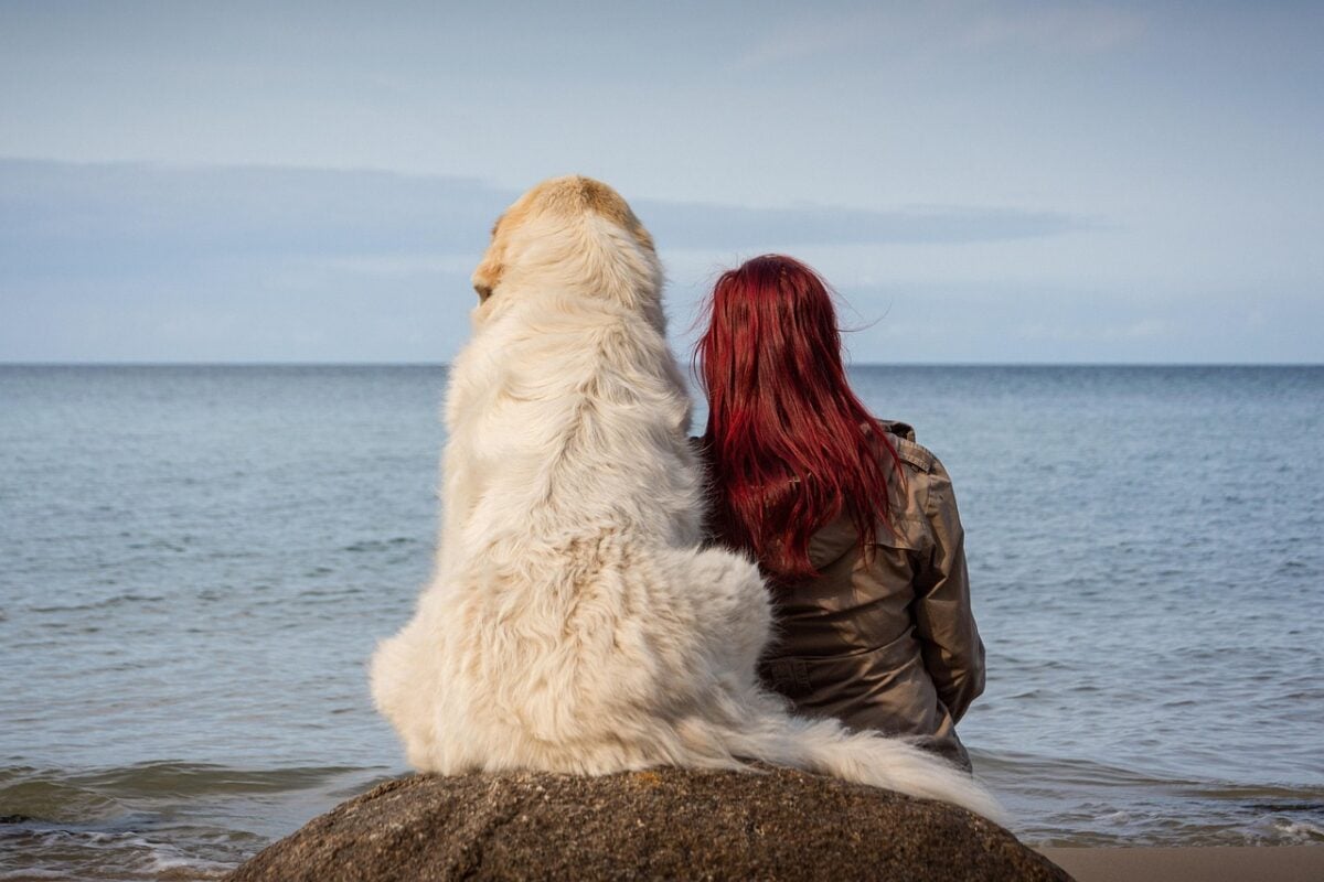 Female owner and dog sitting on a rock together looking away from camera at the sea. 