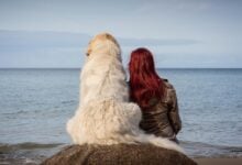 Female owner and dog sitting on a rock together looking away from camera at the sea.