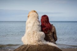 Female owner and dog sitting on a rock together looking away from camera at the sea.