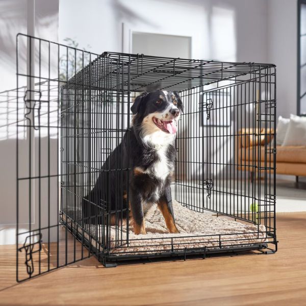 frisco heavy duty dog crate
