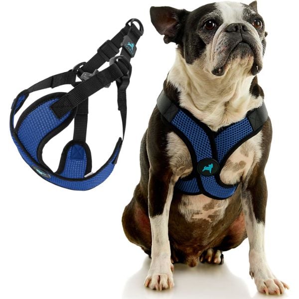 gooby comfort x step in harness
