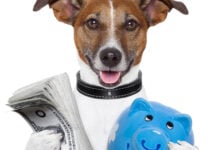 Dog holding cash and a piggybank.