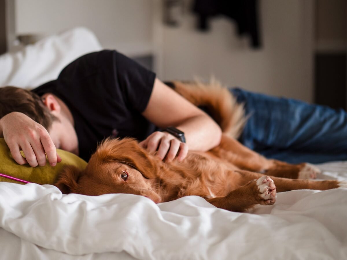 Dog sleeping next to owner in bed.