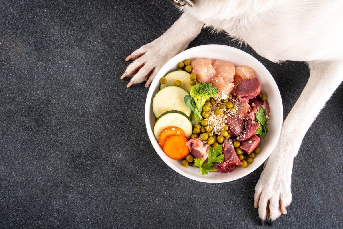BARF (Biologically Appropriate Raw Food) food concept, Healthy bowl for domestic pets background with dog paws in pic. Portion of raw meat, chicken, fish, vegetables, oats