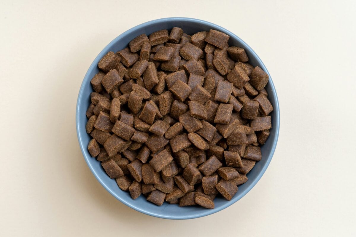 Flat Lay photo of dry dog food.