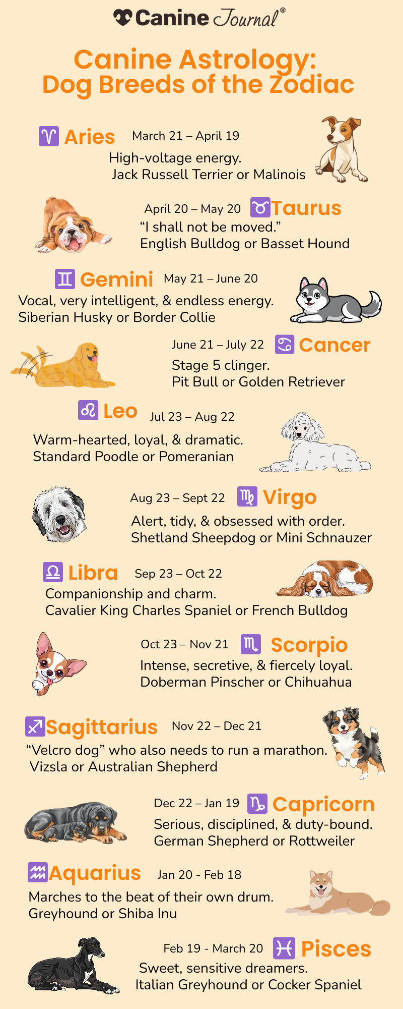 Infographic Dog Breeds of the Zodiac