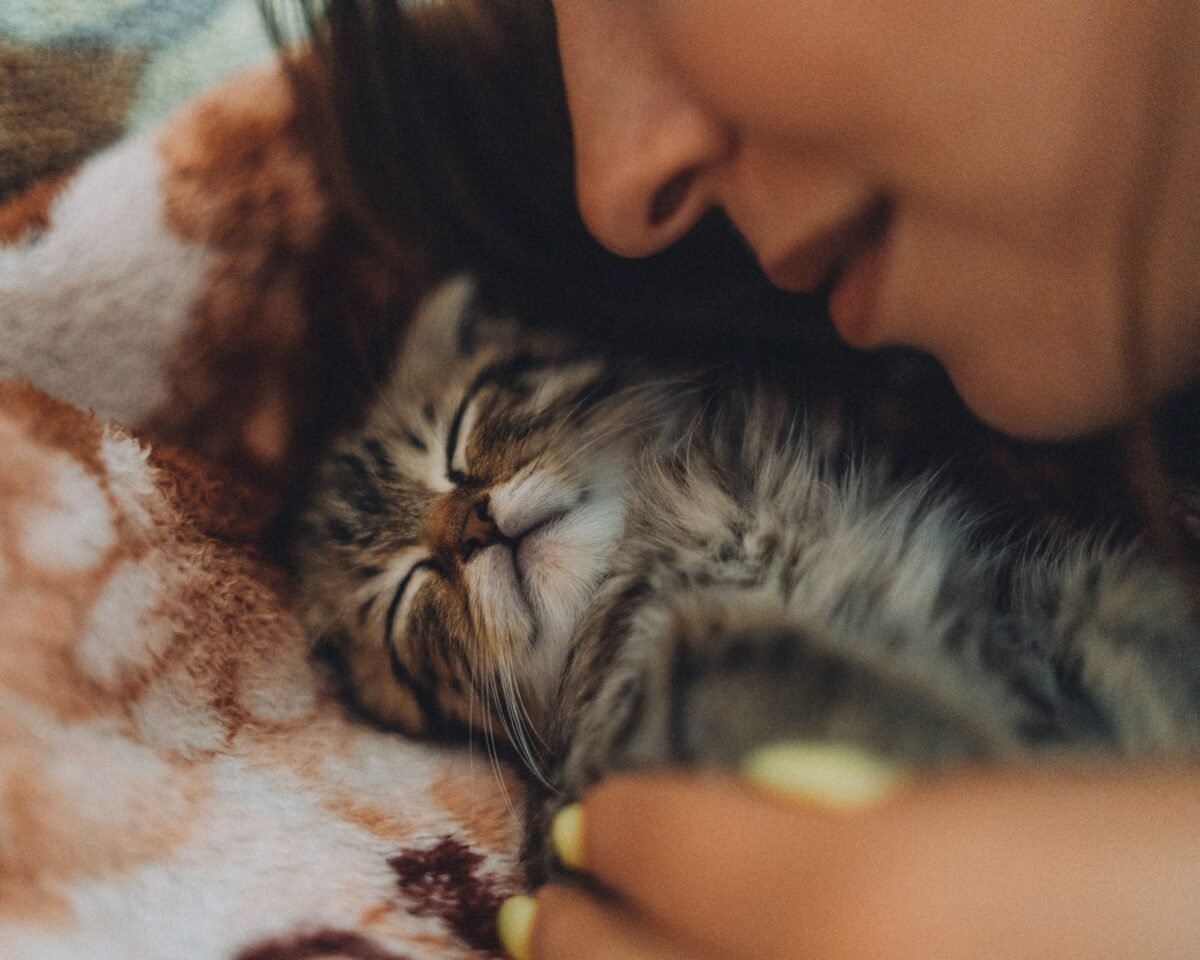 Close-up of person cuddling kitten.