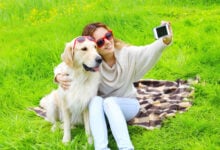Owner woman with Golden Retriever dog taking selfie portrait on