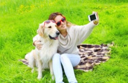 Owner woman with Golden Retriever dog taking selfie portrait on