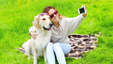 Owner woman with Golden Retriever dog taking selfie portrait on