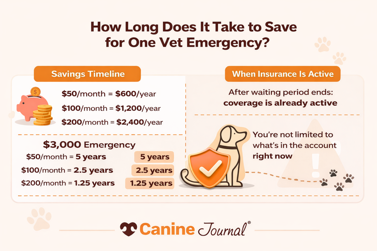 savings vs insurance infographic