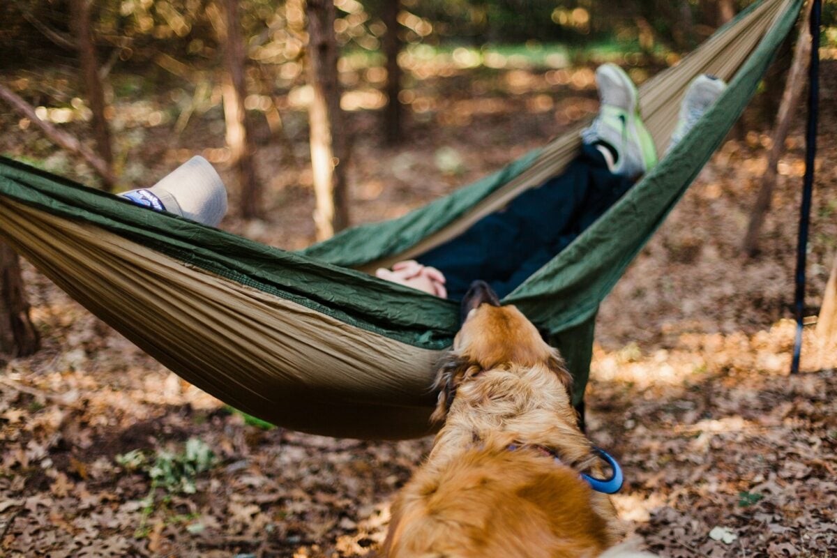Dog rests head on hammock with person lying inside.