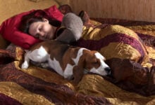 sleeping woman and its dog