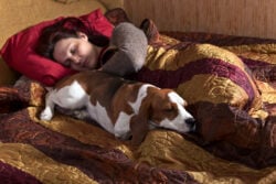sleeping woman and its dog