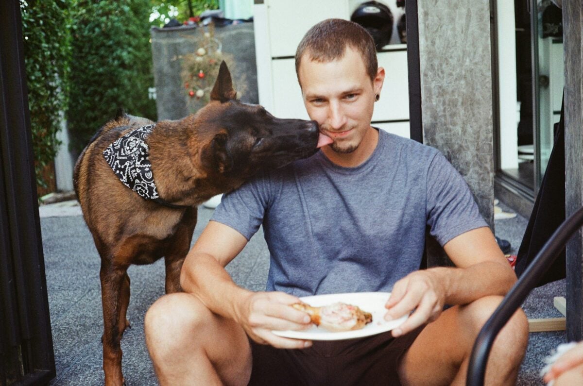 Dog licks face of man holding plate of chicken.
