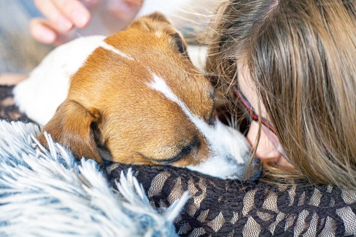A teenage girl hugs her Jack Russell Terrier. Friendship Day.