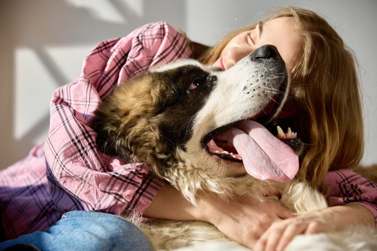 Young woman hugging Saint Bernard dog close up.