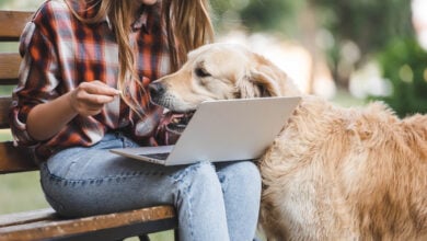 cropped view of girl in casual clothes using laptop while golden retriever disturbing woman