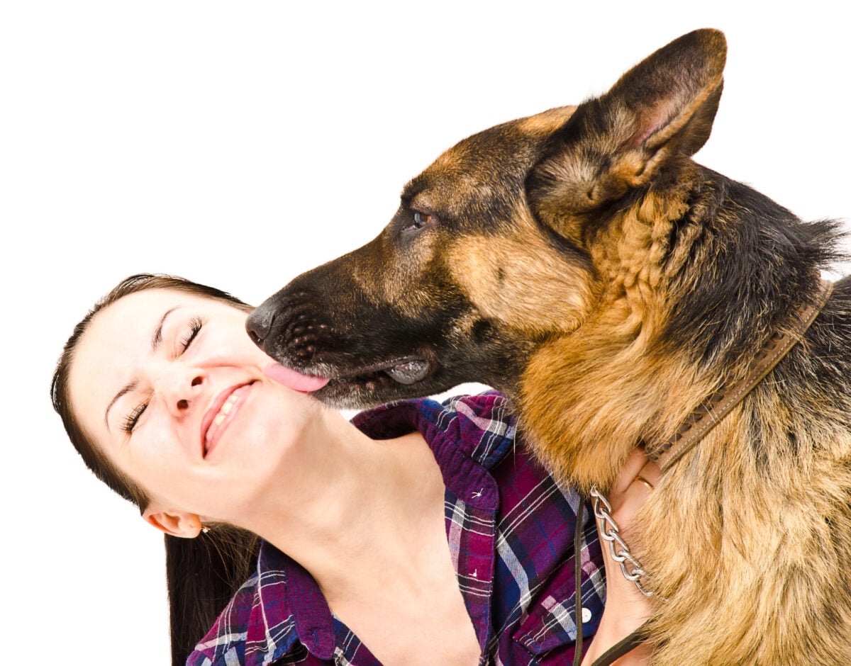 Portrait of a smiling young woman who licks German Shepherd