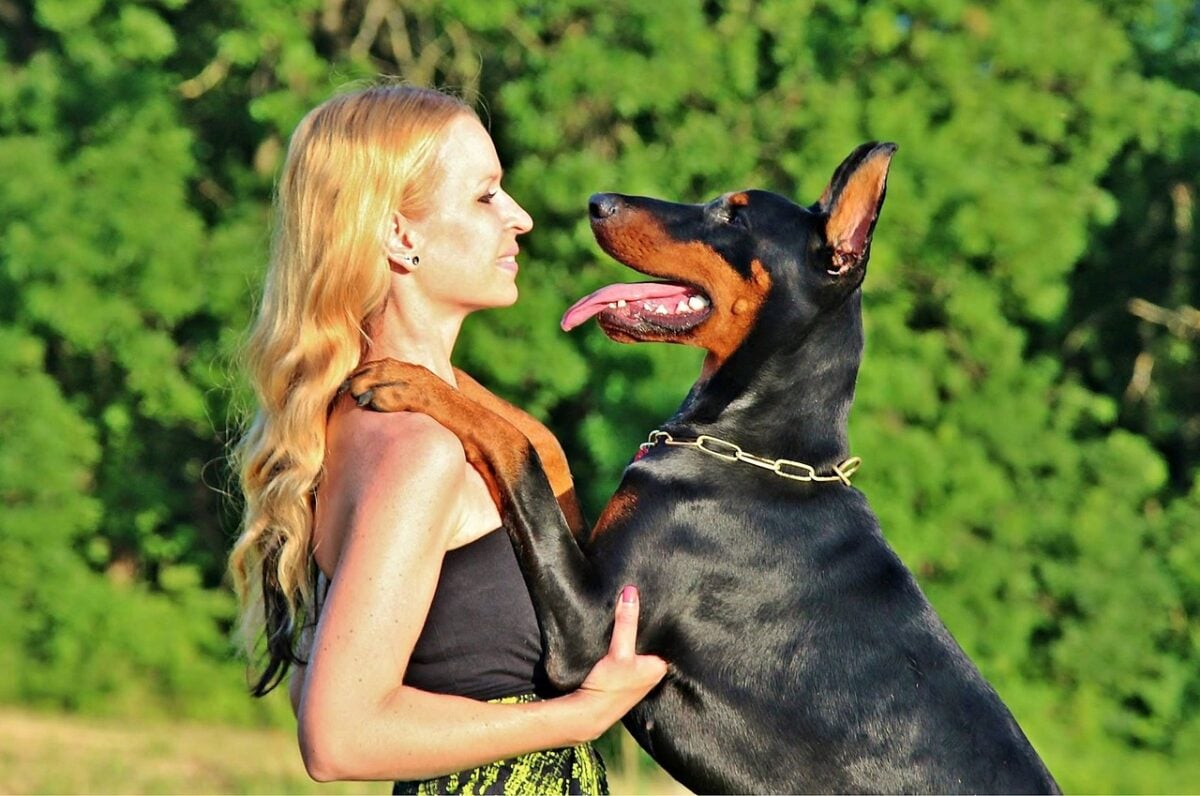 woman, animal, dog, hobby, nature, summer, pet, doberman pinscher, friendship, people, animals, love