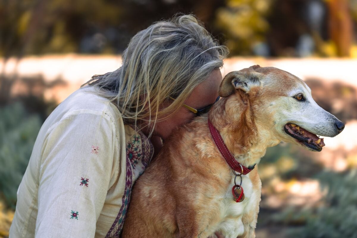 Heartwarming moment between human and dog