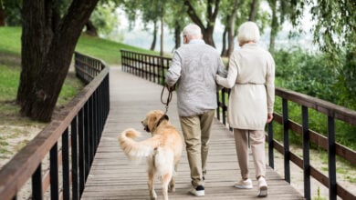 senior couple walking with cute dog iacross wooden bridge in park