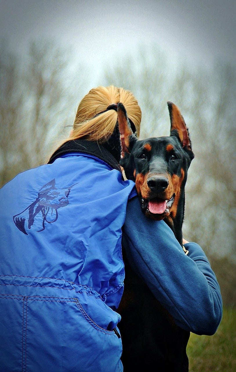 doberman, dog, pet, embrace, animal, love, woman with a dog, friendship