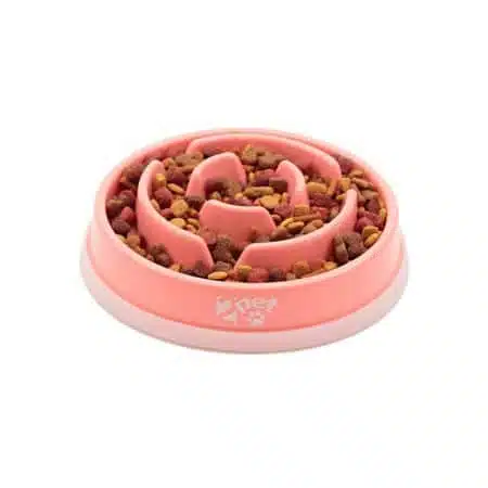 2pet slow feed dog bowl