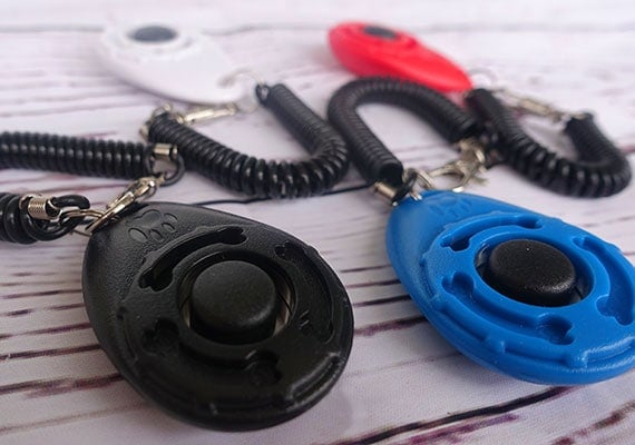 4 dog clickers with wrist straps in red, blue, white and black colors