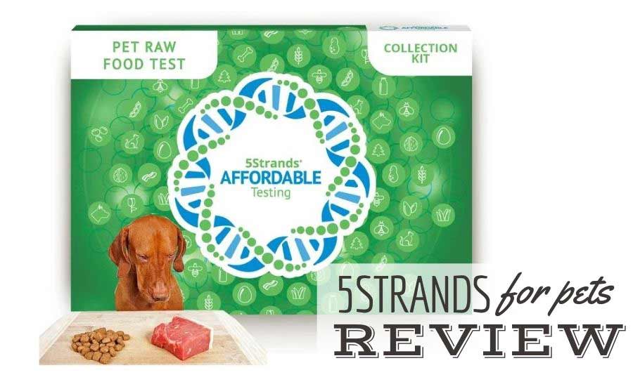 5Strands pet raw food test collection kit (Caption: 5Strands For Pets Review)