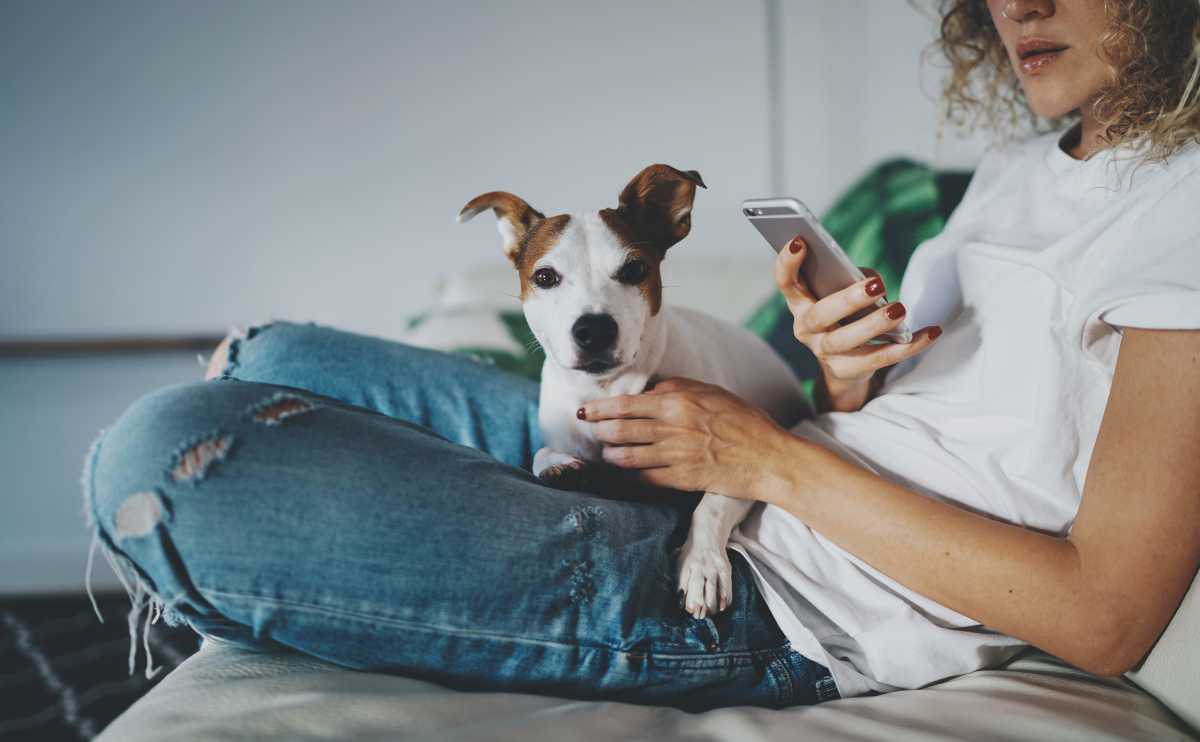 A girl on her phone calling pet insurance company with dog sitting in lap on a sofa jpg