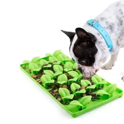  STELLAIRE CHERN Snuffle Mat for Small Large Dogs