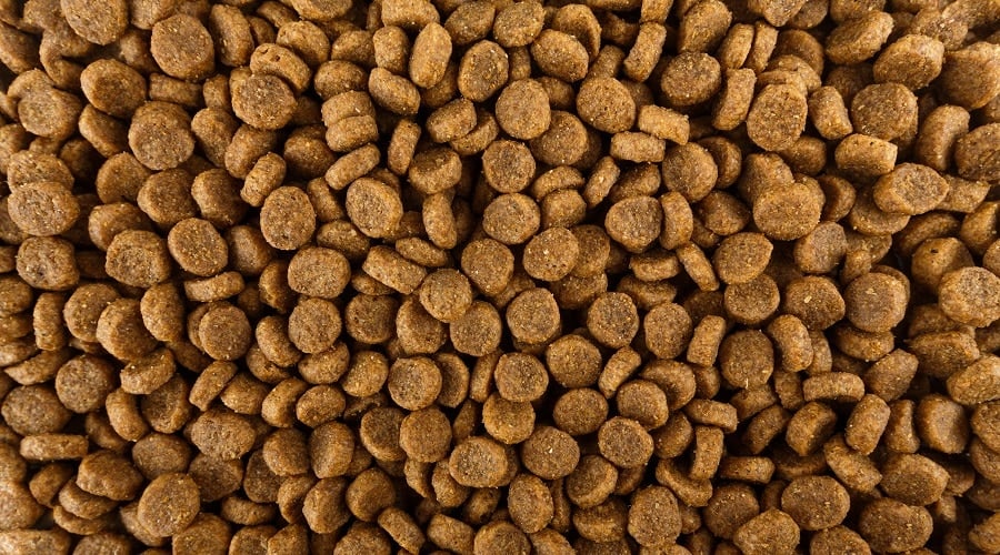 Acana Dry Dog Food History