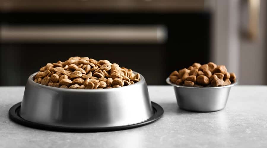 Blue Buffalo and American Journey Brand Dog Foods