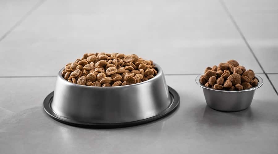 American Journey vs Wellness Food Brand Comparison