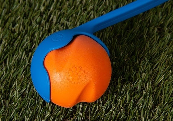 American-made West Paw Jive dog ball sitting in scoop of ball thrower.