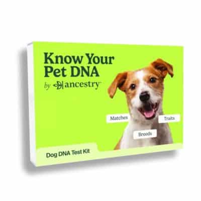 Ancestry dog dna test