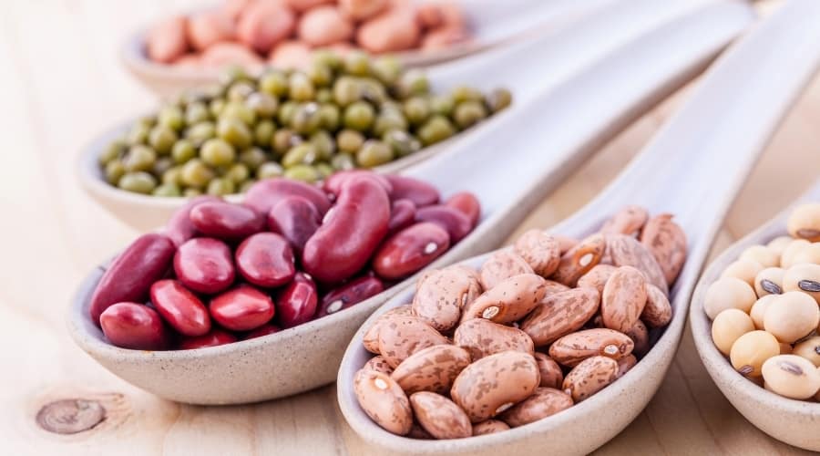 Assortment of Beans