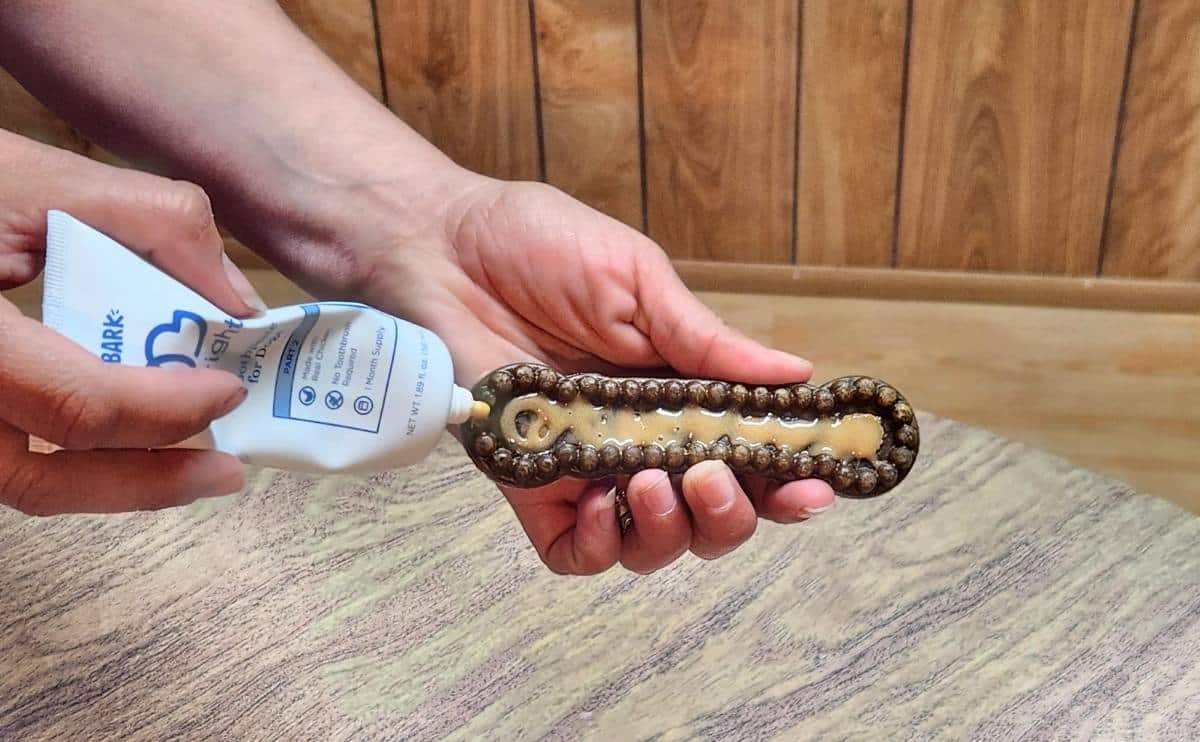 Bark Brite toothpaste on durable chew