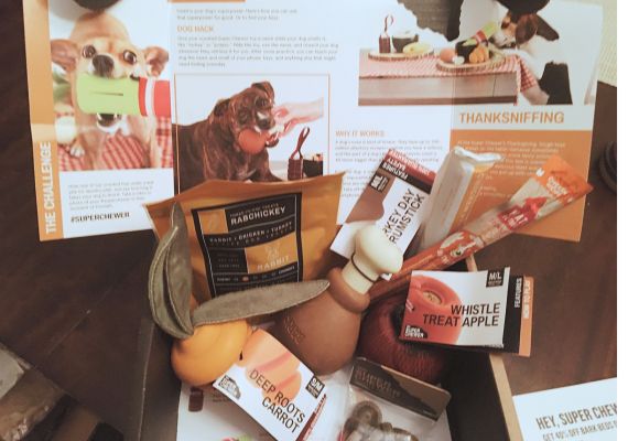 BarkBox Super Chewer Thanksgiving Box contents