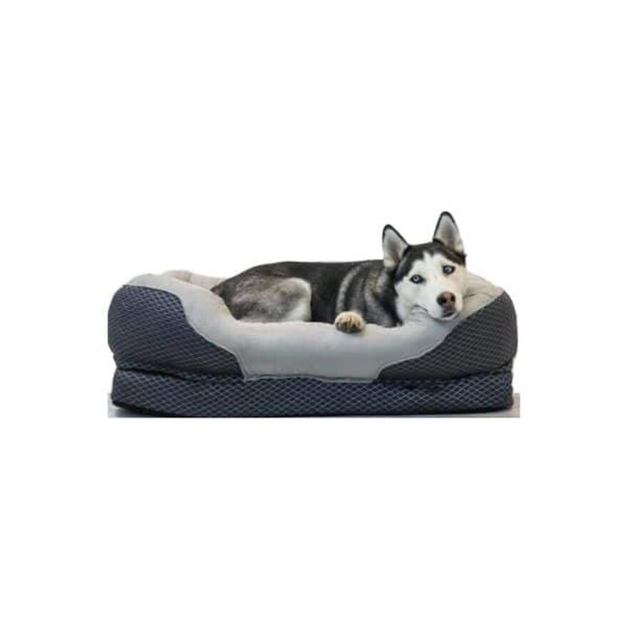 Best Dog Beds For English Bulldogs Canine Journal