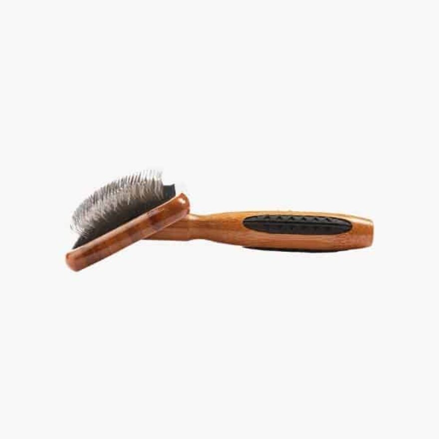 Best Brushes For Labrador Retrievers Canine Journal