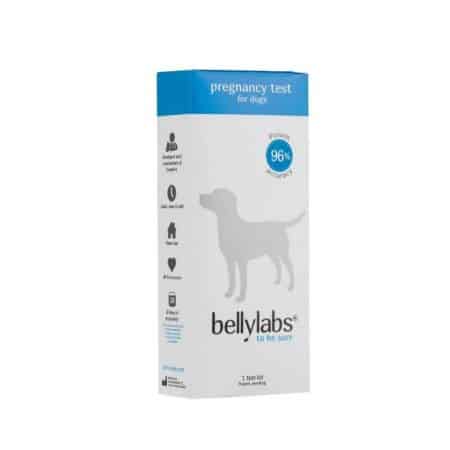 Bellylabs Pregnancy Test For Dogs
