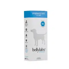 Bellylabs Pregnancy Test For Dogs