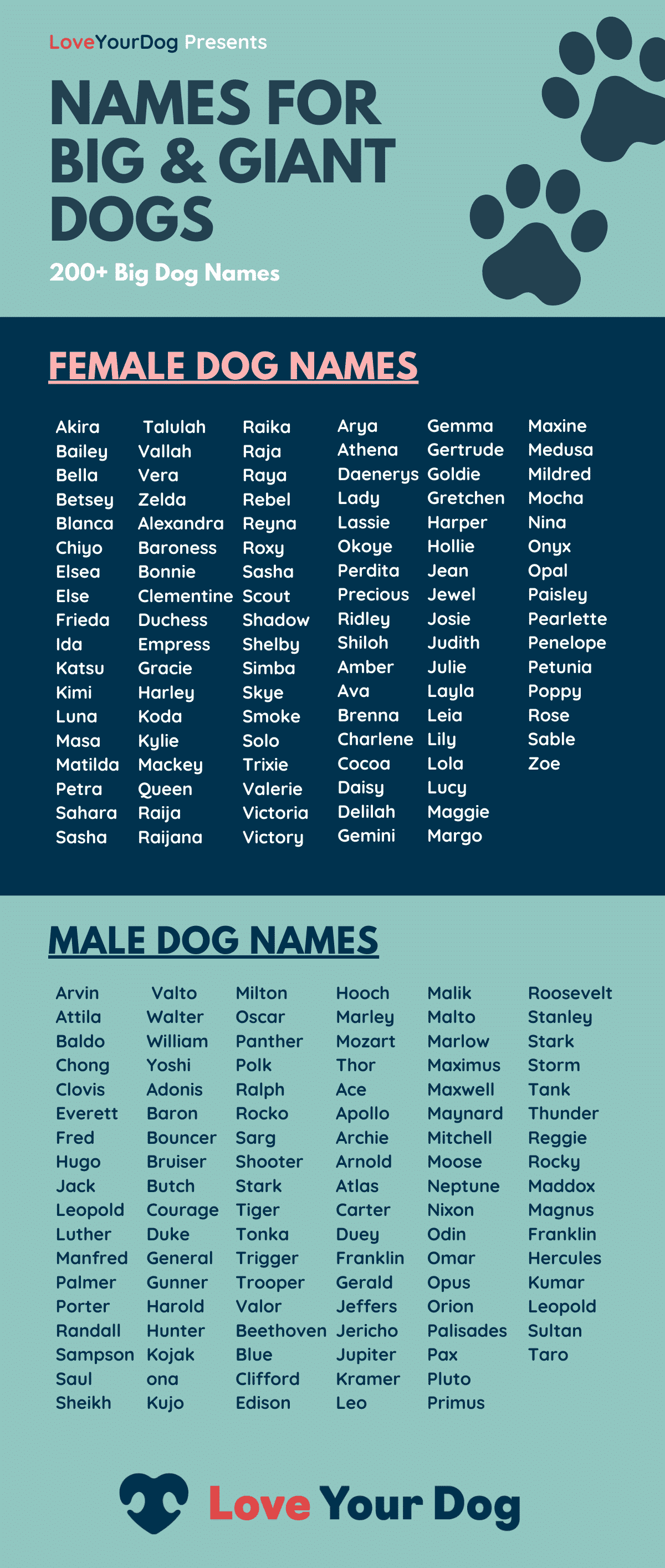 Big Dog Names Giant Breeds Infographic Image