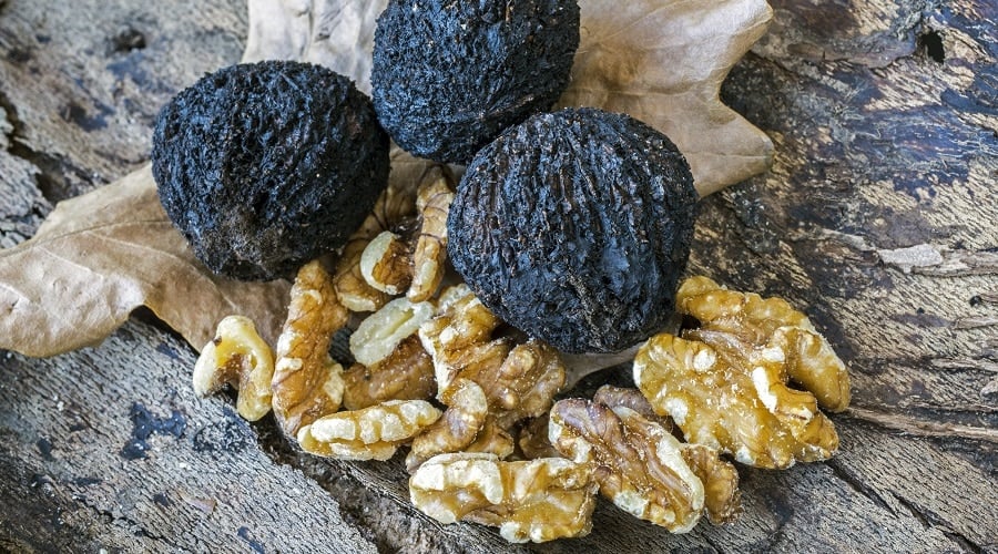 Black Walnuts