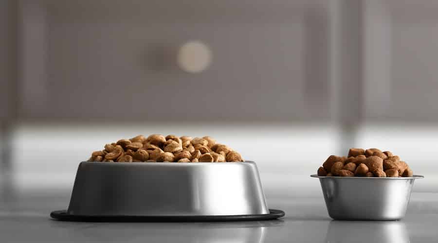 Blue Buffalo and American Journey Brand Dog Foods