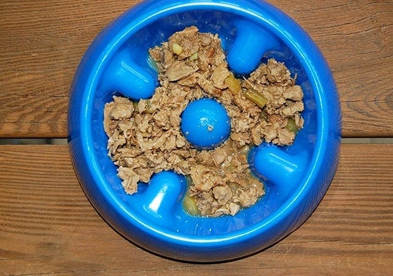 Blue Dogit Slow-Feed dog bowl with canned wet dog food inside.