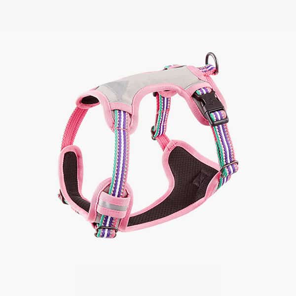 Blueberry harness.